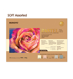 Mungyo Pastel Paper Pad - A4 Soft 30 Sheets , MPPA-A4S